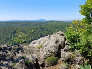 Náučný chodník Šterusy – Rebro – Sprosná – Orlie skaly